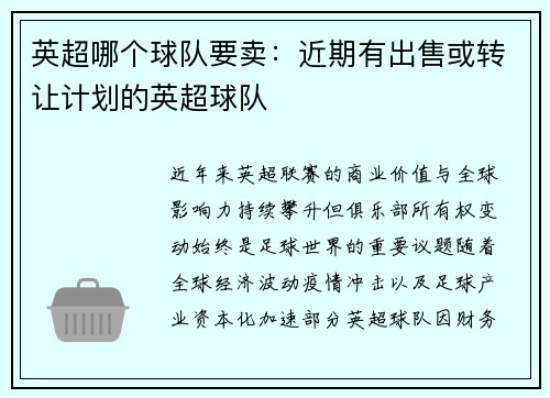 英超哪个球队要卖：近期有出售或转让计划的英超球队